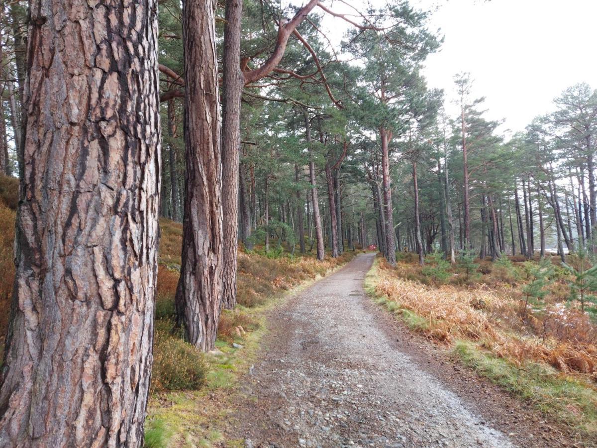 Holiday House Kinveachy Aviemore Buitenkant foto
